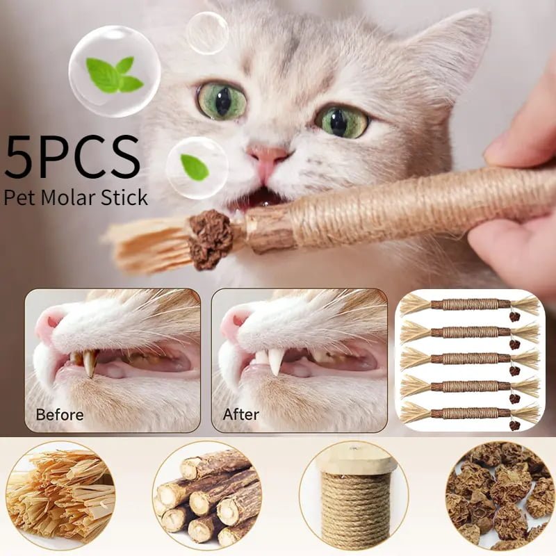 Jouet pour chat en bâtonnets d’herbe à chat