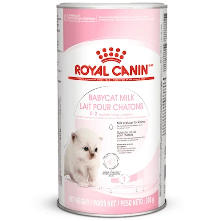 Lait pour Chaton Royal Canin Babycat Milk premium