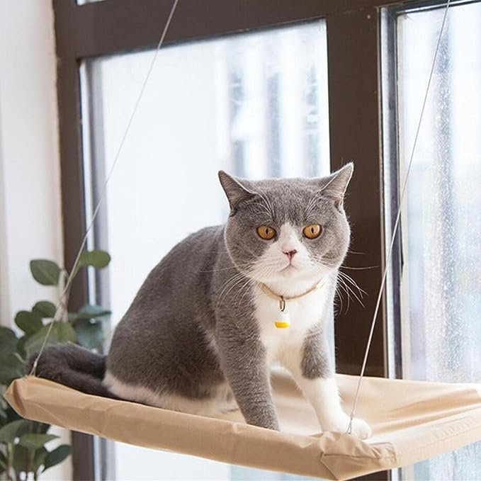 Lit de fenêtre pour chat
