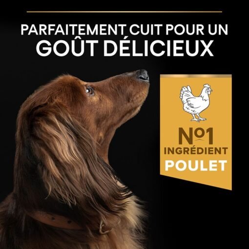 Purina Pro Plan Small And Mini Adult – Poulet