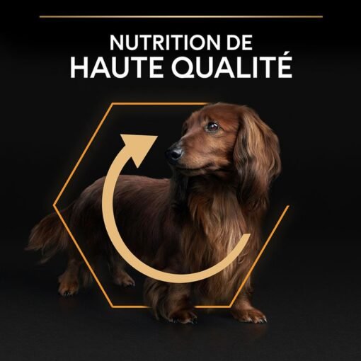 Purina Pro Plan Small And Mini Adult – Poulet