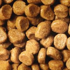 Purina Pro Plan Original Kitten OPTIStart pour les chatons et chattes gestantes – allaitantes