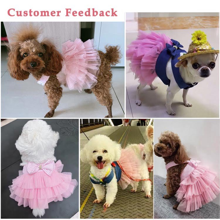 Robe de princesse pour Chat et Chien