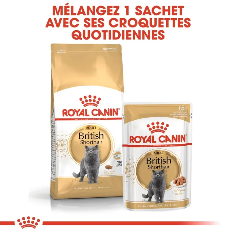 Royal Canin BRITISH SHORT HAIR Adult