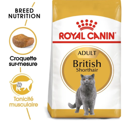 Royal Canin British Shorthair Adulte favorisent la masse musculaire, la santé cardiaque et articulaire Croquettes adaptées à la mâchoire du British Shorthair