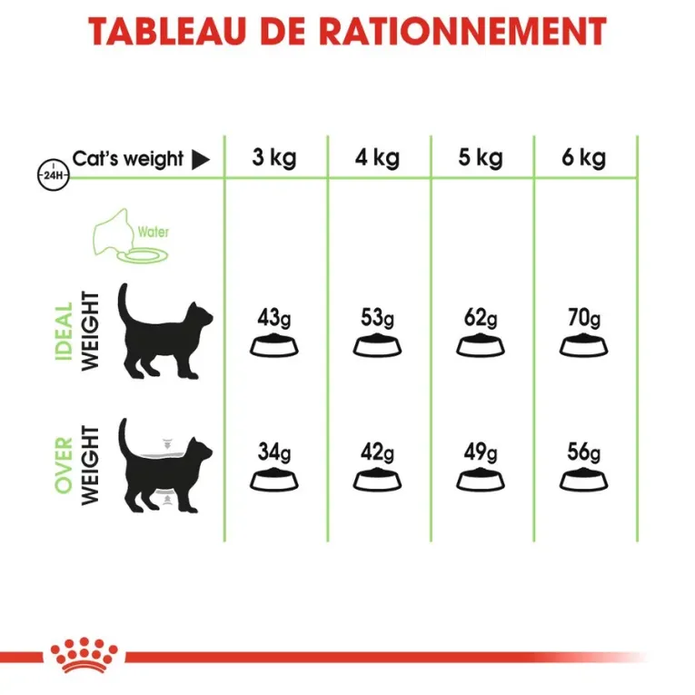Royal Canin Digestive Care pour Chat Adulte | Croquettes pour Digestion Sensible