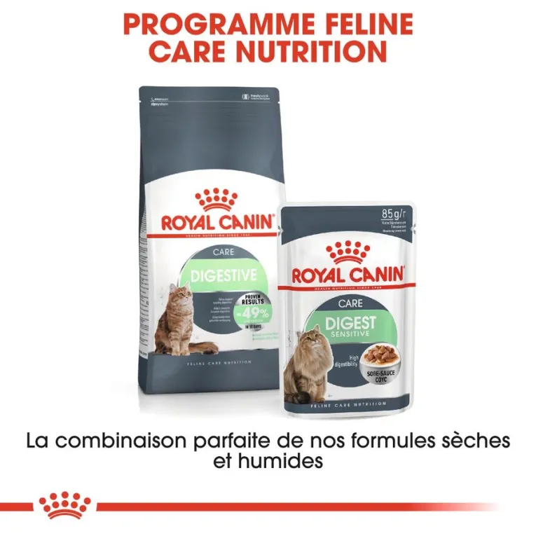 Royal Canin Digestive Care pour Chat Adulte | Croquettes pour Digestion Sensible