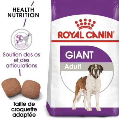 Royal Canin Giant Adulte Aliment complet pour chiens de races géantes