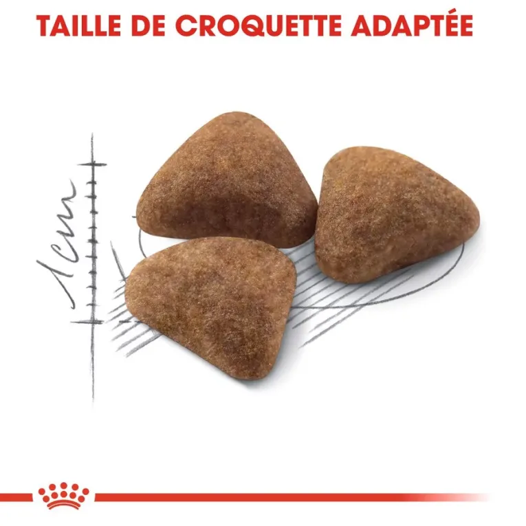 Royal Canin INDOOR 27 pour chats adultes d’intérieur