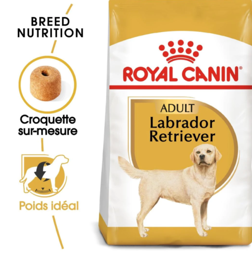 Royal Canin Labrador Retriever Adulte – Croquettes Spécifiques pour Labrador, Santé Articulaire, Poids Idéal et Pelage Brillant