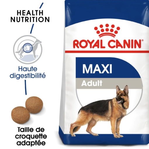 Royal Canin Maxi Adult | Croquettes Premium pour Chiens Adultes de Grande Taille (26-) | Santé Articulaire & Pelage Brillant