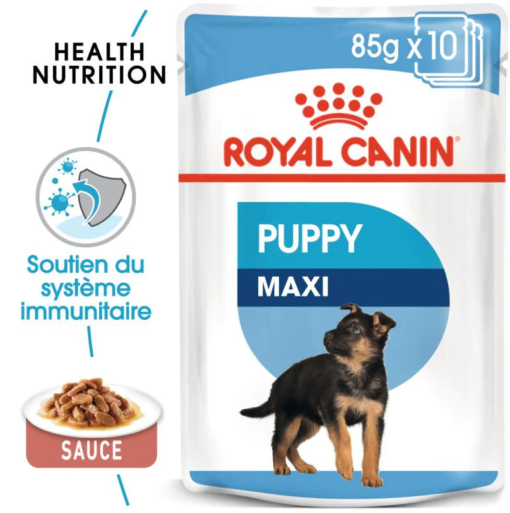 Royal Canin Maxi Puppy Sauce – Nourriture Humide Complète pour Chiots de Grande Race (26 à ) | Croissance, Immunité et Santé Digestive Optimales