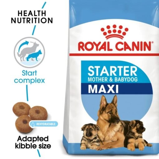Royal Canin Maxi Starter Mother and Babydog – Croquettes Complètes pour Chiennes en Gestation et Lactation et Chiots de Grande Race, Soutien Immunitaire et Croissance Optimale
