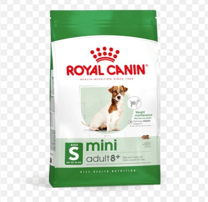 Royal Canin mini adult 8+