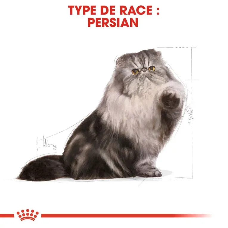 Royal Canin PERSAN ADULT