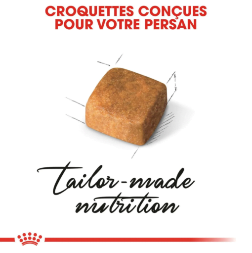 Royal Canin PERSAN KITTEN Aliment Complet et Équilibré pour Chatons Persans (jusqu’à 12 mois)