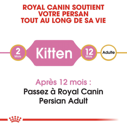 Royal Canin PERSAN KITTEN Aliment Complet et Équilibré pour Chatons Persans (jusqu’à 12 mois)