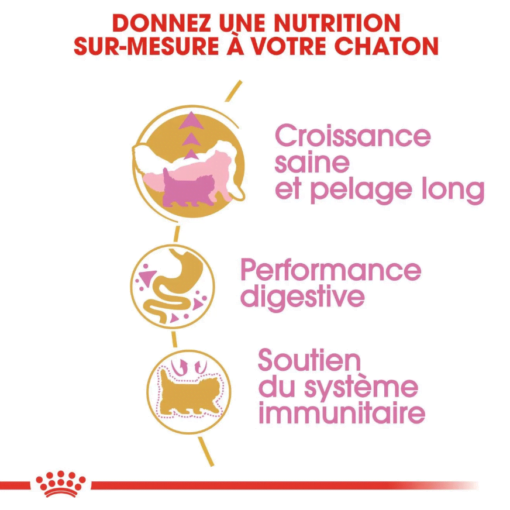 Royal Canin PERSAN KITTEN Aliment Complet et Équilibré pour Chatons Persans (jusqu’à 12 mois)