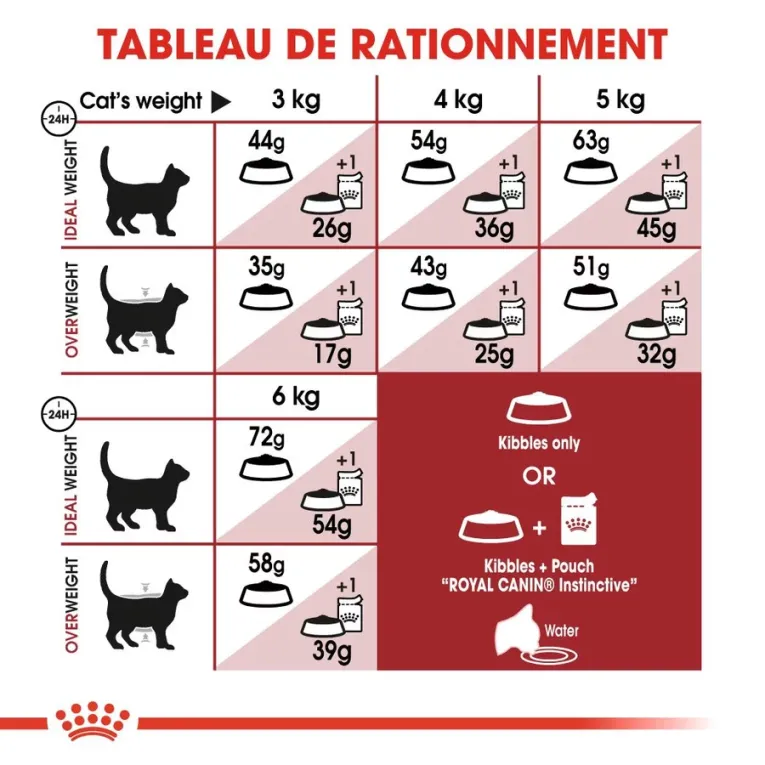 Royal Canin Regular Fit 32