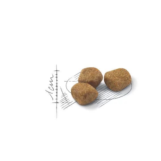 Royal Canin Regular Fit 32