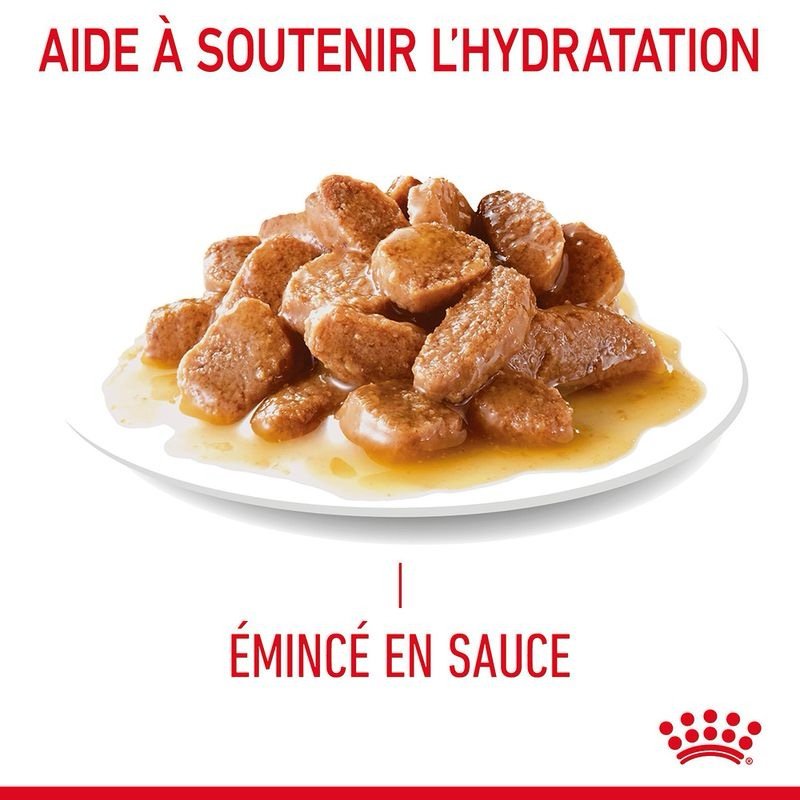Royal Canin Urinary en sauce pour chat