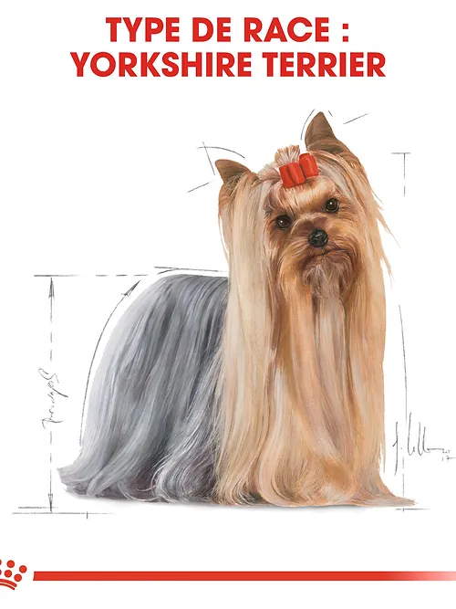 Royal Canin Yorkshire Terrier Adulte – Pâtée Premium pour Chien Yorkshire dès 10 Mois