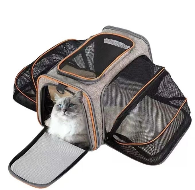 Sac de Transport pour chat et chien cabine avion – Pratique, confortable et homologué pour voyager en toute sécurité