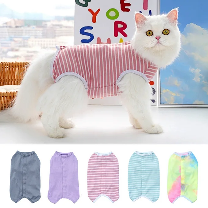 Vêtement de récupération pour chat ou chien