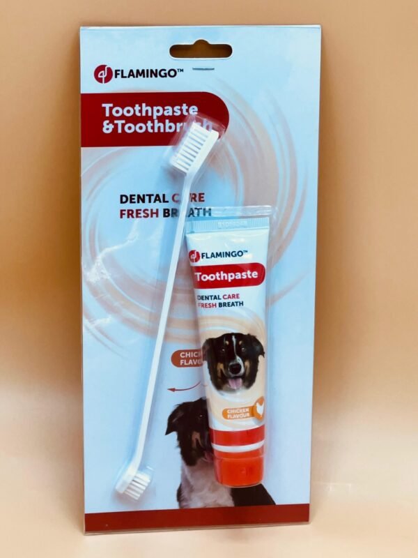 Dentifrice saveur poulet + brosse à dents 85g