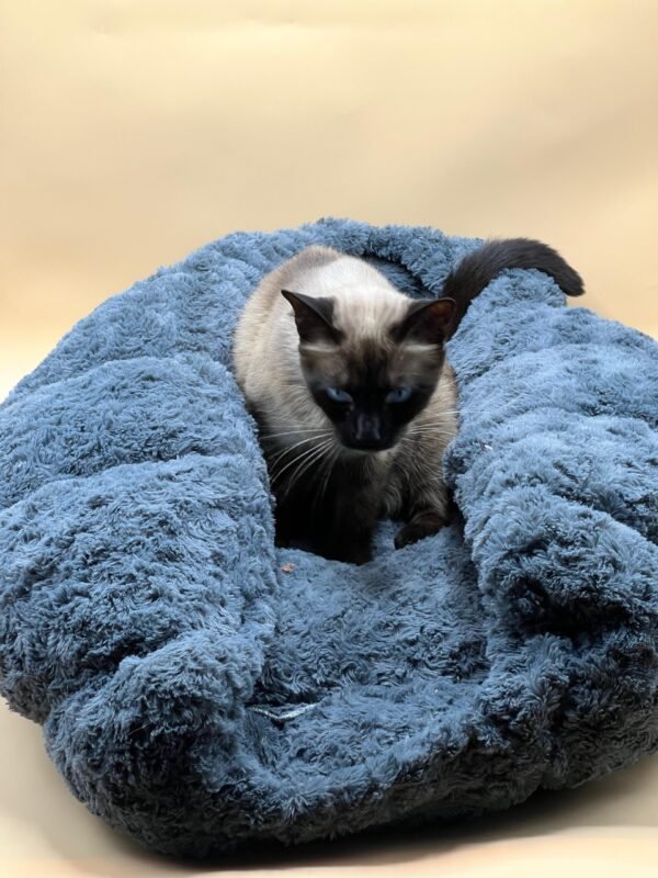 LIT EN COTON  PP ET POLAIRE POUR CHAT ET CHIENS