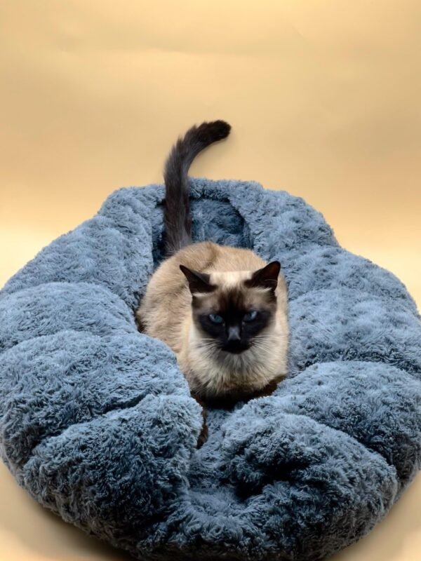 LIT EN COTON  PP ET POLAIRE POUR CHAT ET CHIENS – Image 2