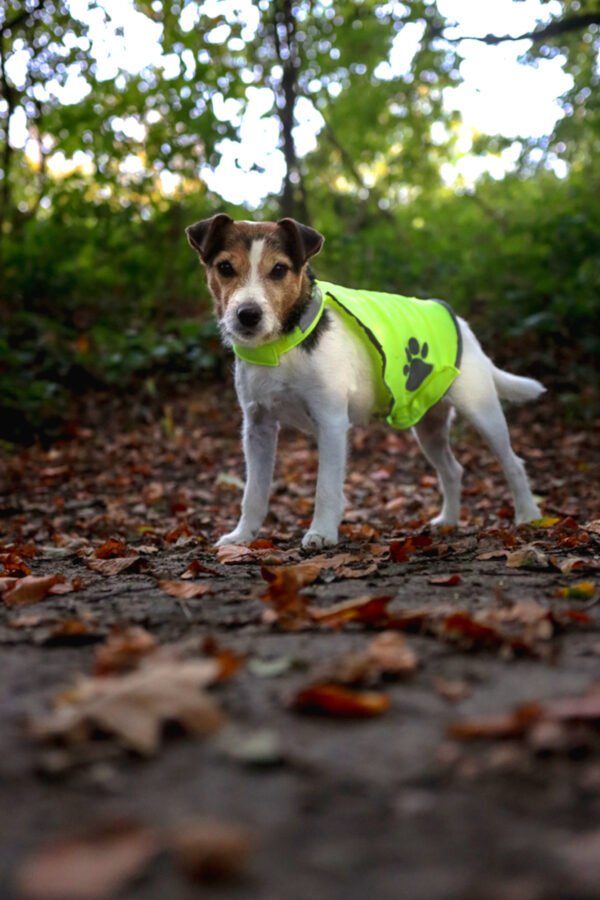 Gilet de sécurité Refi jaune fluo – Image 3