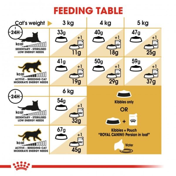 ROYAL CANIN Persian30 Adulte 2kg – Image 3