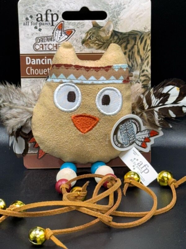 AFP Dreams Catcher Dancing Owl